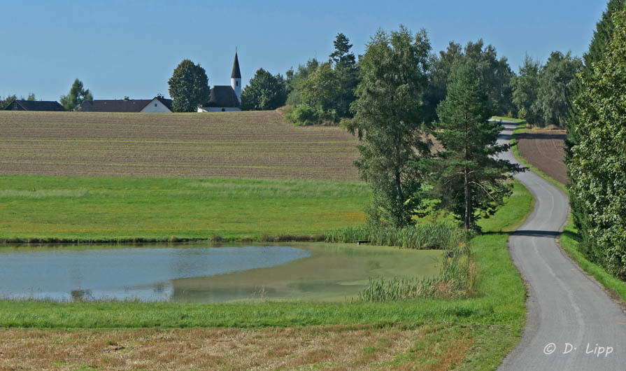 Wandel