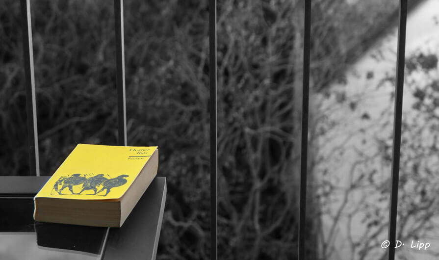 Reisen zwischen Buchdeckeln