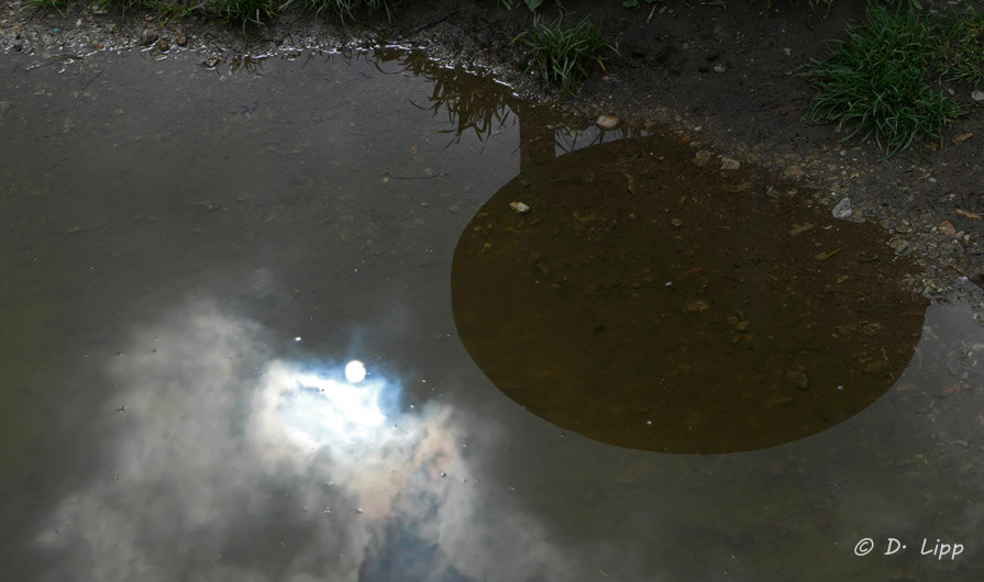 Die Düsternis in mir