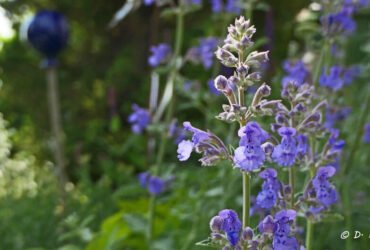 Lebensabschnitts-Partner