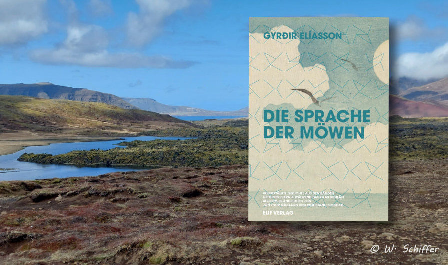 Die Sprache der Möwen
