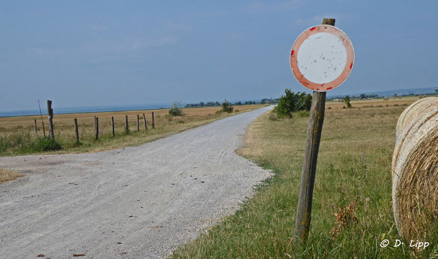 Zweifel