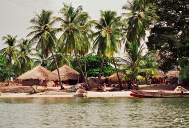 sprudelndes Esogeplätscher: me in this world, in a jungle-like nutshell