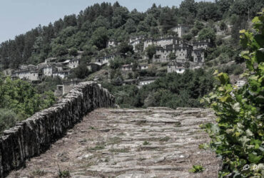 Kostas