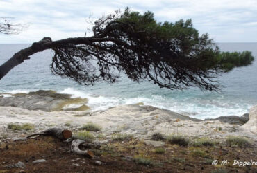 wissen der landschaft
