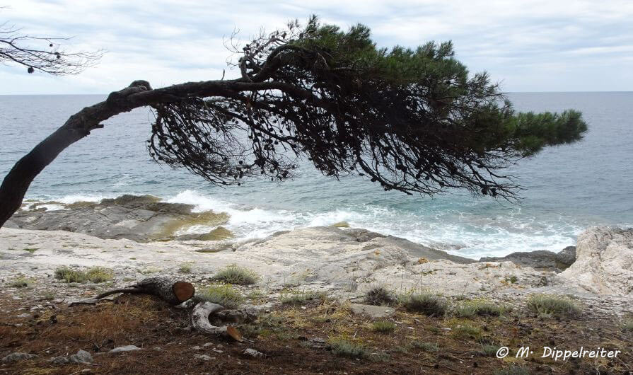 wissen der landschaft